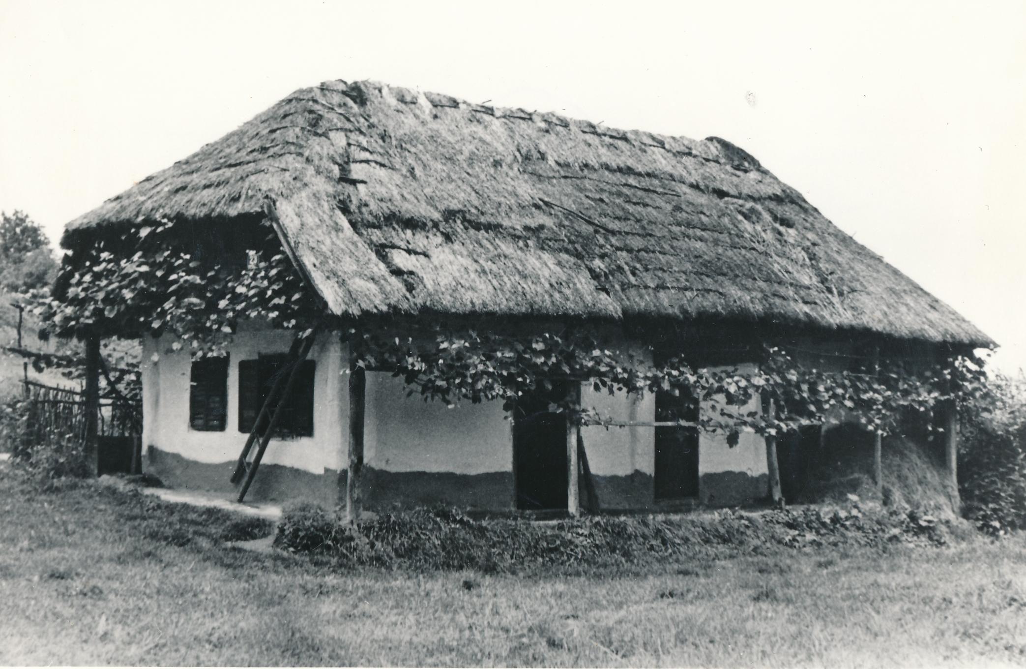 eika image